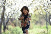 Story trails picture