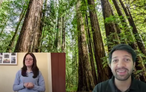 The Forest (BSL)