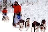 Arctic Challenge