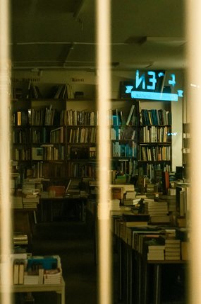 A bookshelf in a prison library observed through a barred window